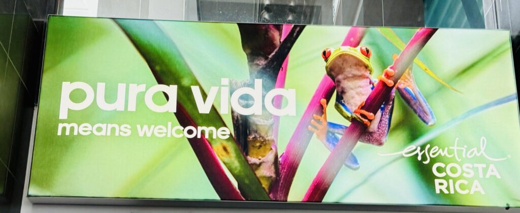 The Ultimate Costa Rica 7 Day Itinerary: Volcanoes, Wildlife, and Pure Bliss 3 pura vida