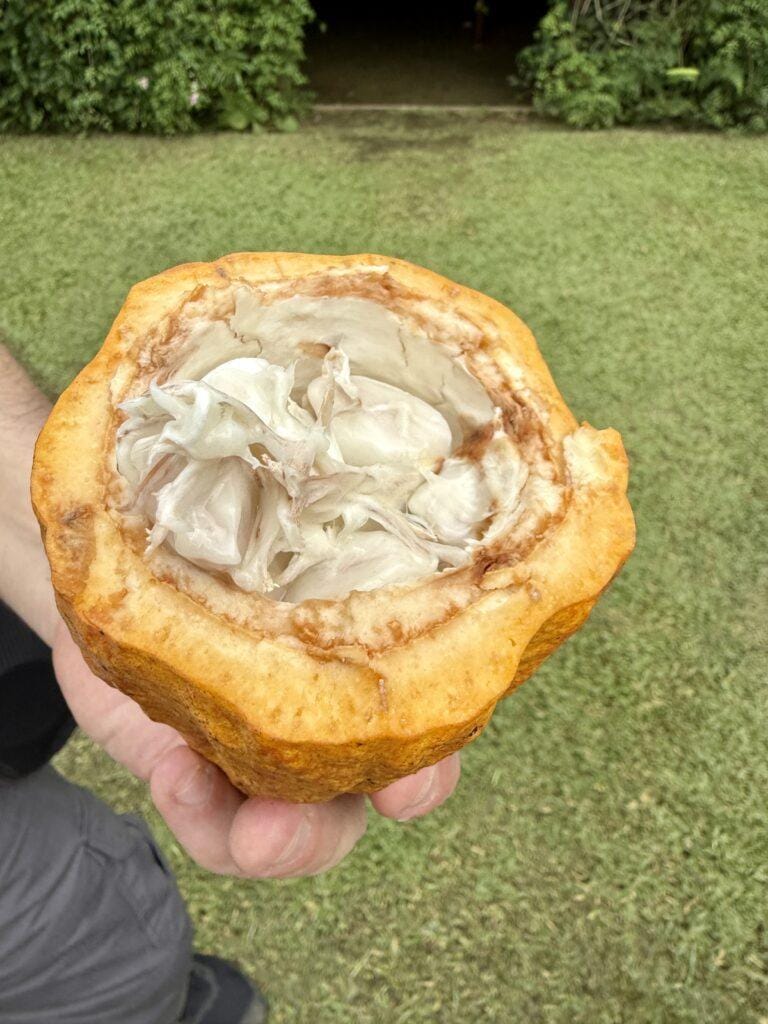 The Ultimate Costa Rica 7 Day Itinerary: Volcanoes, Wildlife, and Pure Bliss 20 Costa Rica 7 day itinerary