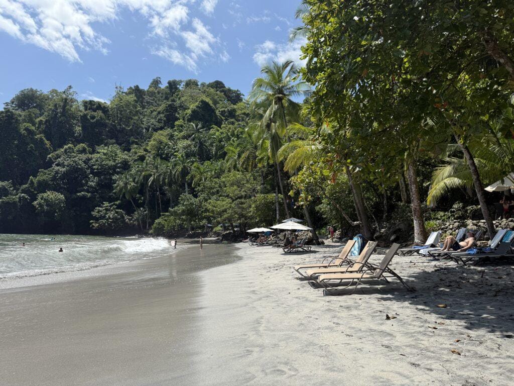 The Ultimate Costa Rica 7 Day Itinerary: Volcanoes, Wildlife, and Pure Bliss 41 Costa Rica 7 day itinerary